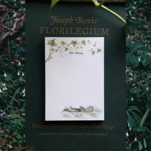 Side Quest Notepad - Otter floating through lilypads while reading a book